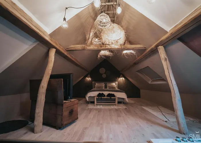 Pause Cachee בית הארחה