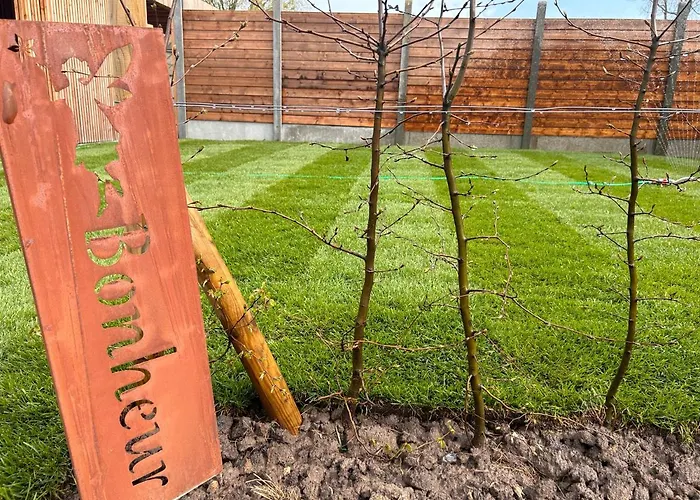 Pause Cachee בית הארחה 4*